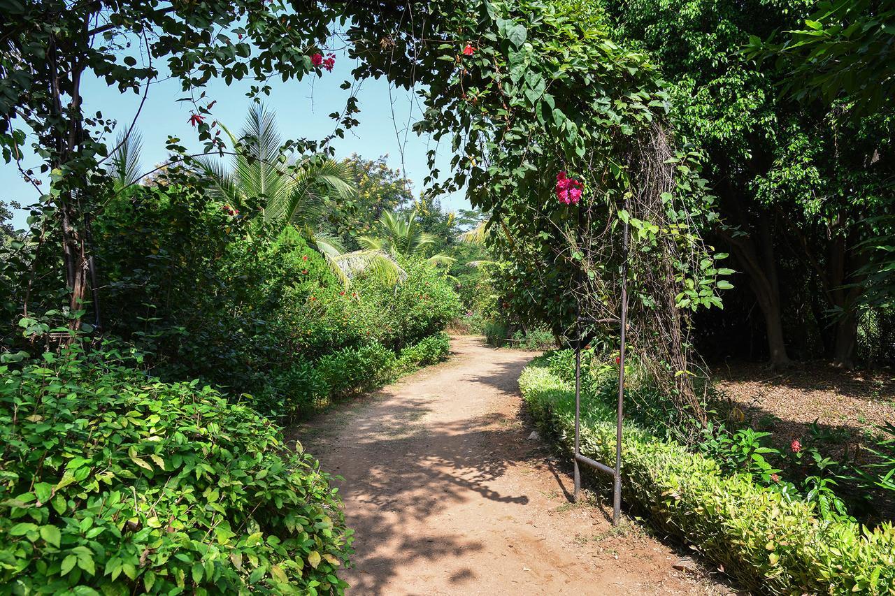 Baaz Jungle Resort Khawasa Экстерьер фото