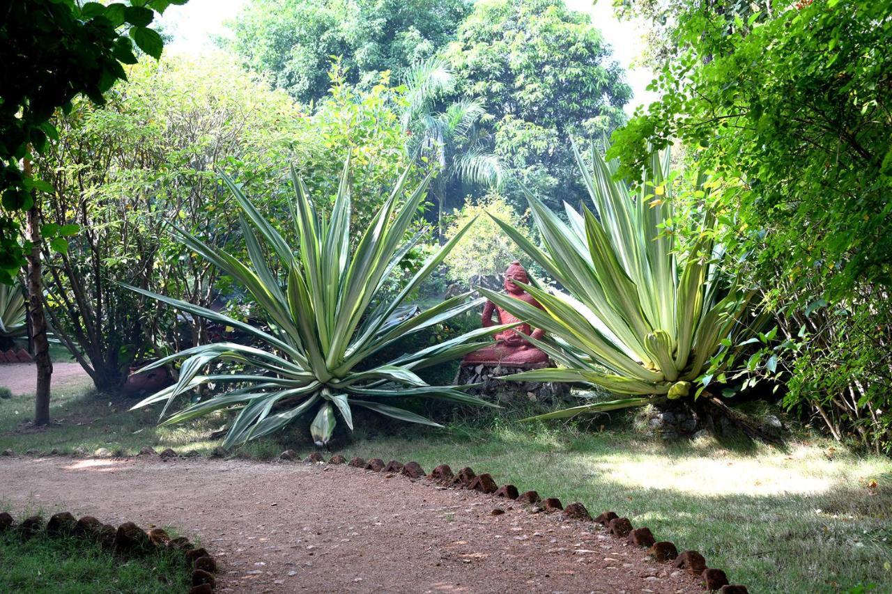 Baaz Jungle Resort Khawasa Экстерьер фото